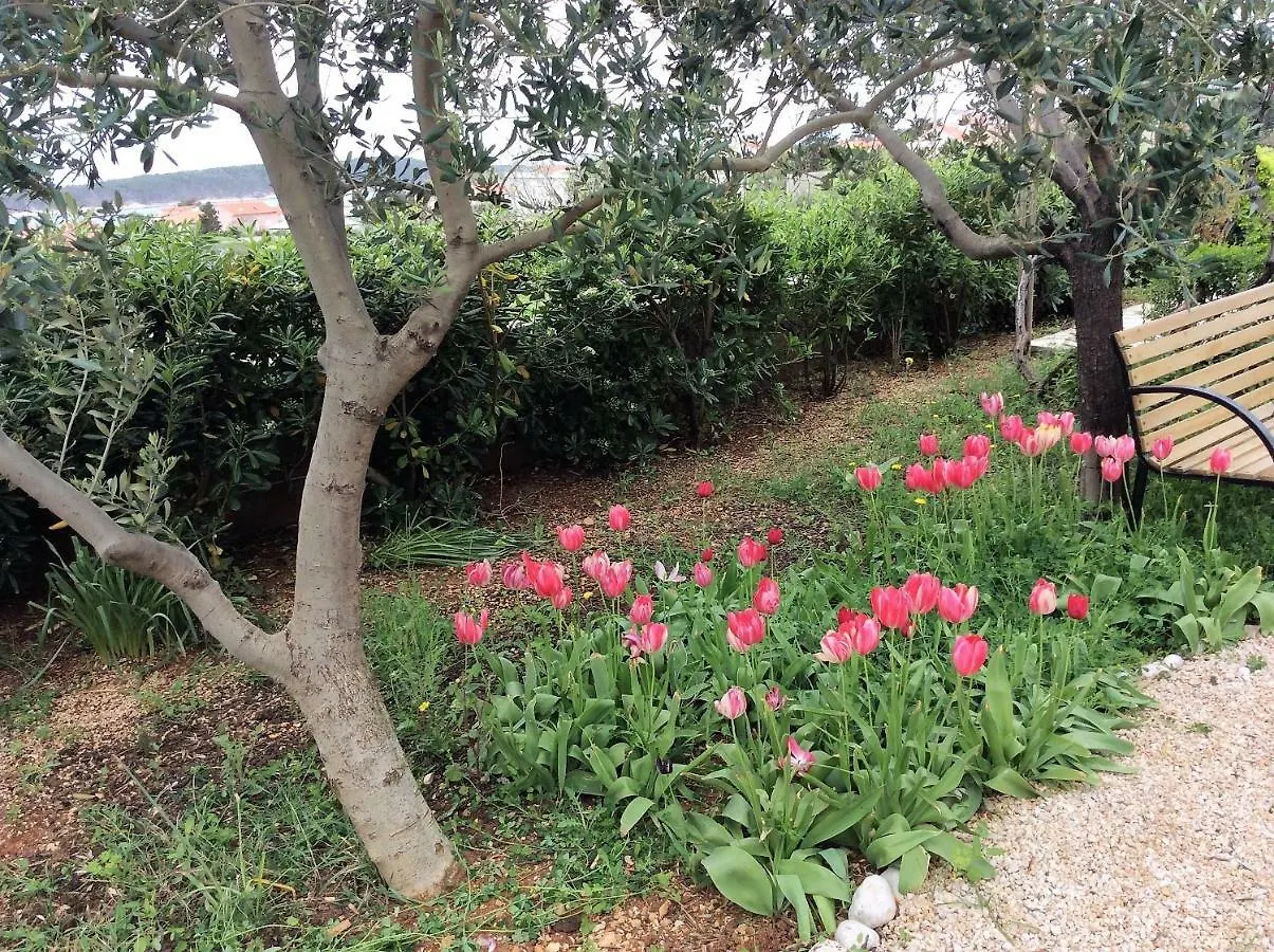 Apartment Villa Jadranka Barbat na Rabu Croatia