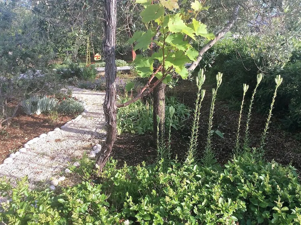 Apartment Villa Jadranka Barbat na Rabu Croatia